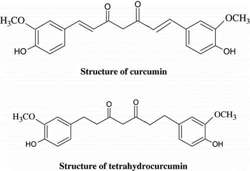 Figure 1. Chemical structures of curcumin and its major metabolite, tetrahydrocurcumin (THC). Curcumin and THC have similar β-diketone structures and phenolic groups.