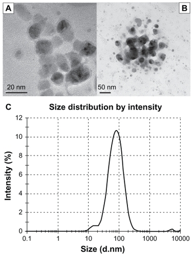 Figure 1 Characterization of silver nanoparticles: (A) transmission electron microscope (TEM) image at the scale of 20 nm, (B) TEM image at the scale of 50 nm, and (C) size distributions with dynamic light scattering analysis.