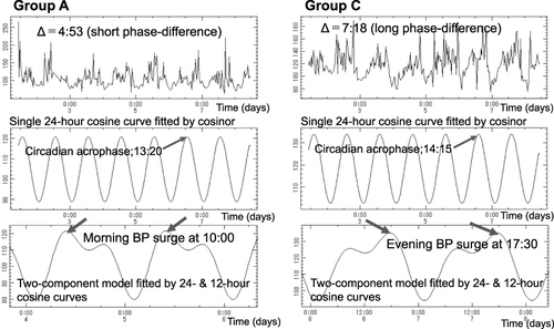 Figure 2 Examples of 7-day/24-hour ABPM from one citizen in Group A and one in Group C. Left: record from Group A citizen who has a short phase difference of about 4.5 hours between the circasemidian morning acrophase and the circadian acrophase of systolic blood pressure. Right: record from Group C citizen who has a long phase difference of about 7.0 hours between the circasemidian morning acrophase and the circadian acrophase of systolic blood pressure. Corresponding 2-component models show the presence of a morning BP surge in Group A citizen (left bottom), and of an evening BP surge in Group C citizen (right bottom).