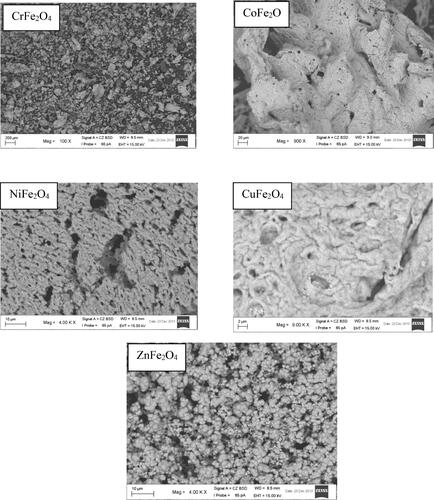 Figure 2. SEM images of synthesized nanoparticles.