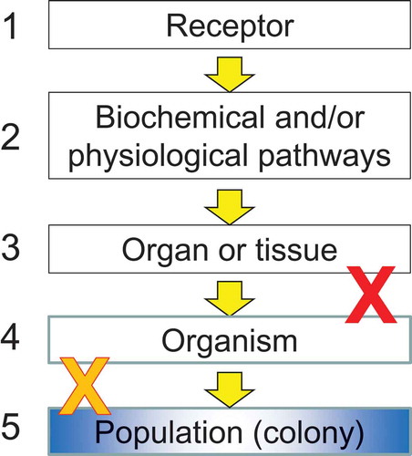 Figure 1. Illustration of linked or concatenated lines of evidence and the importance of continuity. The chain is broken if one of the lines of evidence is not true (red or orange X). Apical endpoints for honeybee colonies are shown with the blue background.