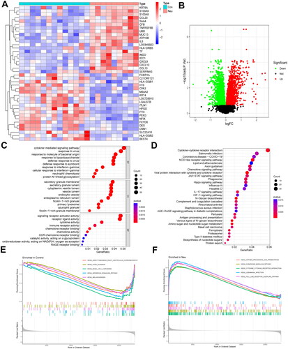 Figure 2. Screening of DEGs and enrichment analysis of biological pathways in neutrophilic asthma. Heatmap (A) and volcano map (B) of DEGs (red refers to up-regulated genes, blue represents down-regulated genes); (C) GO enrichment analysis bubble plot; (D) Bubble plot of KEGG enrichment analysis; (E,F) GSEA analysis.