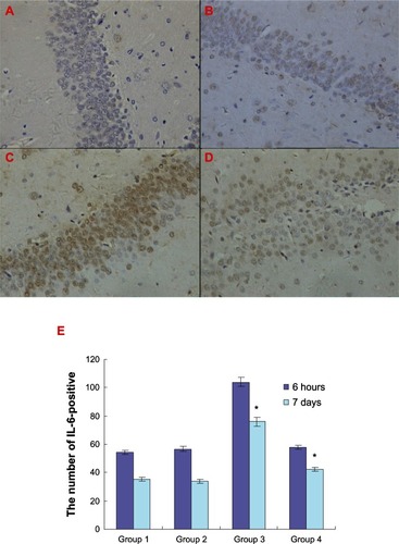 Figure 4 Atorvastatin attenuated interleukin-6 expression in the hippocampus of a rat treated with Aβ 1-42. The upper panel shows interleukin-6-positive cells in rat hippocampus, detected by immunohistochemistry on day 7 after Aβ injection (original magnification × 400). (A) Control group (group 1), (B) atorvastatin control group (group 2), (C) AD group (group 3), and (D) atorvastatin-treated AD group (group 4). (E) The lower panel shows the number of interleukin-6-positive cells counted in the rat hippocampus.Notes: The data are presented as the mean ± standard deviation. *P < 0.01.Abbreviations: Aβ, amyloid-beta (peptide); IL, interleukin; AD, Alzheimer’s disease.