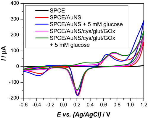 Figure 3. CV results of unmodified SPCE, AuNS-deposited SPCE, and GOx-immobilized biosensors with and without the presence of 5 mM glucose in 0.1 M PB(aq) pH 7 (scan rate = 100 mV/s).