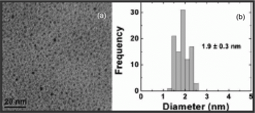 Figure 4.  TEM image of the palladium nanoparticles prepared using the biomimetic synthesis method (22). Reprinted with permission from American Chemical Society © 2009.
