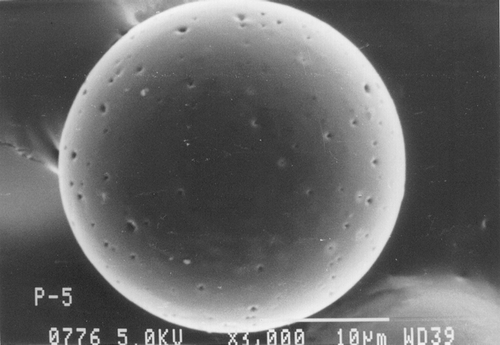 FIG. 2 Scanning electron micrograph of ketorolac tromethamine-loaded PCL: Resomer (1:1) microspheres.