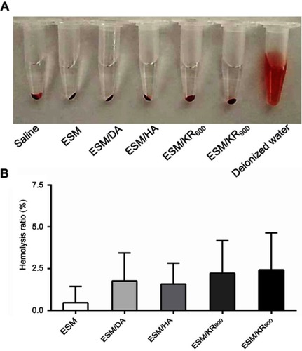 Figure 6 Blood compatibility of the composite membranes (n=3). (A) Images and (B) corresponding hemolysis ratios of fresh blood after incubation with saline, ESM, ESM/DA, ESM/HA, ESM/KR600, ESM/KR900 and deionized water. Abbreviations: ESM, eggshell membrane; HA, hyaluronic acid.