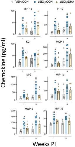 Figure 4. cSiO2-induced chemokine protein expression in lung tissue of mature adult female NZBWF1 mice is inhibited by DHA consumption. Proinflammatory cytokine production was measured in lung tissue homogenate using a multiplex cytokine discovery assay. Cytokine production significantly increased with cSiO2 exposure and was attenuated with the DHA-enriched diets at either 1-week or 5-weeks PI. Letters: a, significantly different from VEH/CON for the specified endpoint (p < 0.05); b, significantly different from cSiO2/CON for the specified endpoint (p < 0.05).