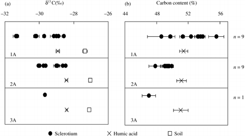 Figure 6  (a) δ13C and (b) carbon content for Myoko Asadaira sclerotium grains measured using an isotopic ratio mass spectrometer.