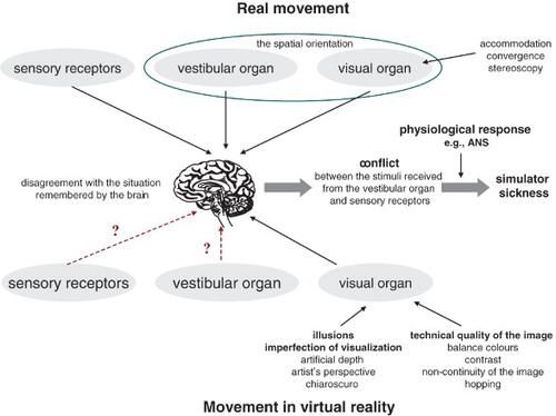 Figure 1. The scheme presenting the causes of discomfort due to a simulated movement during immersion in virtual reality. The question mark stands for excitation or the lack of excitation, depending on the conditions of exposure to virtual reality (own study).
