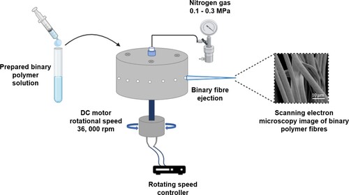 Figure 5. Schematic illustrating the preparation of a binary polymer system. Fibres have been fabricated using pressurised gyration and a scanning electron micrograph (SEM) of the binary fibres is provided (scale bar = 10 µm). Fibres spun at 36,000 rev min–1 and no applied pressure.