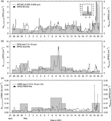 Figure 4. Time series of the number concentrations of (a) BC-like particles measured by single-particle extinction and scattering (SPES) instrument and refractory BC particles measured by Single Particle Soot Photometer (SP2), (b) dust-like particles by SPES instrument and coarse particles measured by Optical Particle Sizer (OPS), and (c) PBAP-like particles measured by SPES instrument and type-C fluorescent particles measured by Wideband Integrated Bioaerosol Sensor (WIBS) in ambient air sampled in Nagoya, Japan. Time series of 1-h averaged data are shown for the data obtained from online instruments (SP2, OPS, and WIBS).