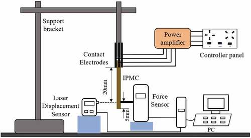 Figure 4. The schematic diagram of the test platform.