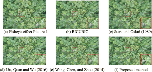 Figure 12. Image reconstruction results of the Fisheye-effect Picture 1.