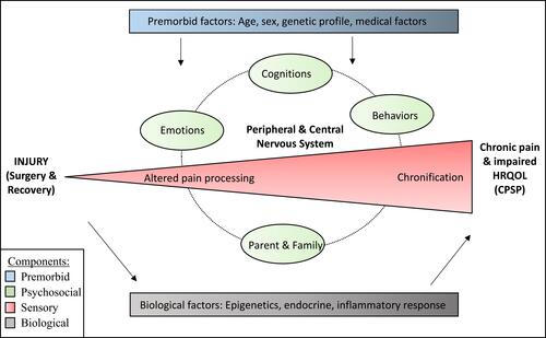 Figure 1 Conceptual model of biopsychosocial mechanisms of transition from acute to chronic postsurgical pain.