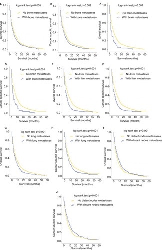 Figure 2 Kaplan–Meier curves of overall survival and cancer-specific survival according to whether or not patients had bone (A, B), brain (C, D), liver (E, F), lung (G, H) and distant lymph node (I, J) metastases.