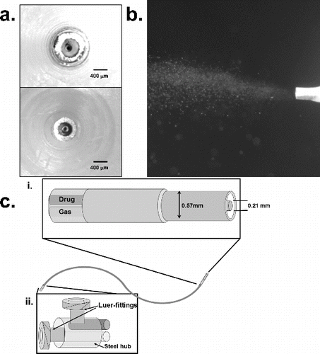 FIG. 1. Design of needle-based aerosol generator (Microjet). (a) End-on view of needle tip showing concentric needles with inner needle for air flow and outer cavity for liquid flow. Two different outer needle sizes are shown with a gap of 200 μm and 100 μm. (b) Image of aerosol spray from the tip of the needle at 40 psi air pressure. (c) Schematic of catheter-based device (diameter 1.5 mm) with needle tip and flexible plastic tubing to supply air and liquid.