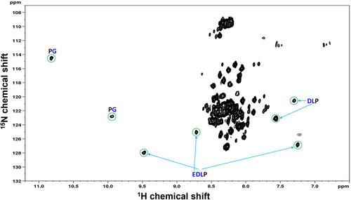 Figure 4. Amide 1H/Citation15N-TROSY NMR spectrum of 13C/Citation15N/Citation2H-labeled ePG-1 in a 1:1 stoichiometric complex with the 11H9-F(Ab) fragment. Well-dispersed signals are labeled with the respective residue assignments in the triple-labeled ePG-1. It should be noted that the remaining signals in the rest of this TROSY spectrum are similar in chemical shift positions to the 1H/Citation15N-HSQC spectra of free ePG-1 (see Fig. 2C).