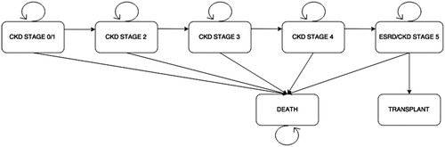 Figure 1. Schematic of ADPKD Markov model.