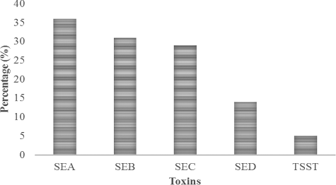 Figure 1. Distribution of toxins in S. aureus isolated from food handlers.