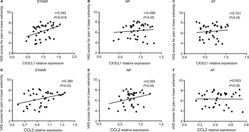 Figure 3 Correlation of local CX3CL1 and CCL2 expressions with VAS scores (in centimeters) for pain in lower extremity.Notes: (A–C) Correlation of CX3CL1 protein expressions with VAS scores for pain in lower extremity in STANR (A), NP (B), and AF (C), respectively. (D–F) Correlation of CCL2 protein expressions with VAS scores for pain in lower extremity in STANR (D), NP (E), and AF (F), respectively.