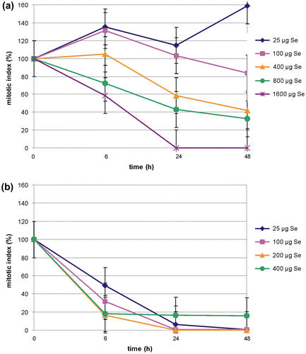 Figure 5. (Color online) Changes of the mitotic index of the Allium test cells during incubation (a) in Selol solutions of different selenium concentrations; and (b) during incubation in sodium selenate (IV) solutions of different selenium concentrations.