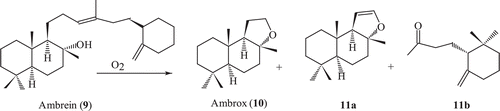 Scheme 2.  Air degradation of ambrein 9.