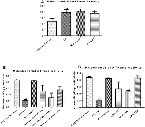 Figure 2 Influence of the n-hexane fraction of A. boonei on F0F1 ATPase activity in lipopolysaccharide-induced hepatic inflammation in rats. *P<0.05; **P<0.01; ***P<0.001 LPS control versus test groups.