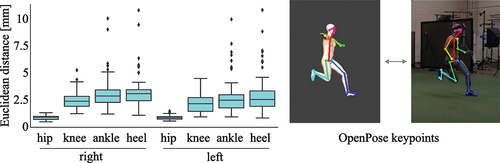 Figure 2. Difference between keypoints estimated in real and synthesised videos. Note that the marker set used during data collection did not contain upper body markers, hence, the arms of the animated silhouette stay in a T-pose and keypoints of the upper limbs cannot be compared.