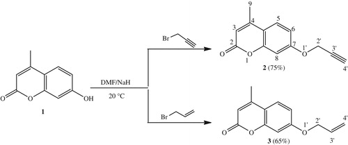 Scheme 1. Synthetic route of dipolarophiles 2 and 3.