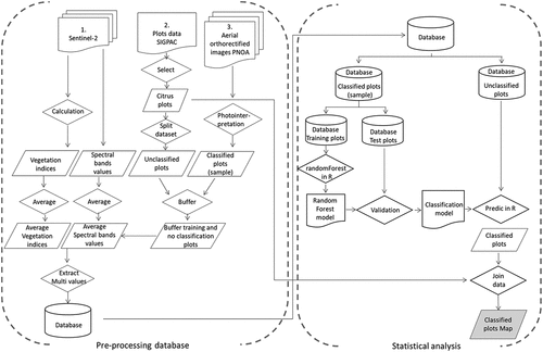 Figure 3. Workflow followed to classify the plots.