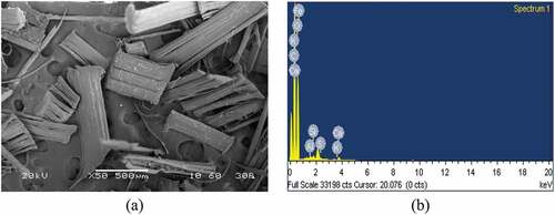 Figure 4. (a) Micro-graphs image and (b) elemental analysis of hemp fiber.