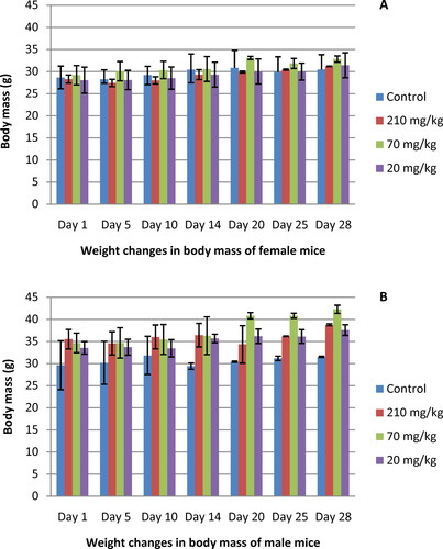 Figure 1. Body weight gain of female (A) and male (B) mice treated orally with EtOAc extract of G. urbanum L. for 28 days.