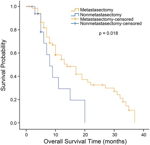 Figure 2 Kaplan–Meier analysis of overall survival in patients with metachronous Krukenberg tumors who did or did not undergo metastasectomy.