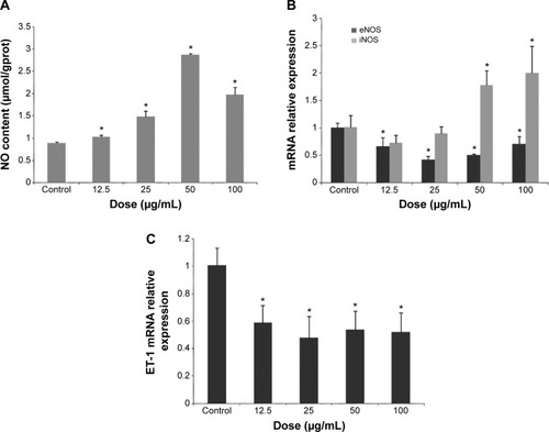 Figure 4 NO/NOS systemic disorder and downregulated ET-1 mRNA expression mediated by SiNP exposure in HUVECs.Notes: *P<0.05 versus control. Data presented as means ± SD, n=3. (A) Release of NO after SiNP exposure for 24 hours in HUVECs. (B) Real-time PCR assessment of mRNA levels for eNOS, iNOS, and ET-1 normalized to β-actin in HUVECs after 24 hours’ SiNP treatment.Abbreviations: eNOS, endothelial nitric oxide synthase; iNOS, inducible NOS; SiNP, silica nanoparticle; HUVECs, human umbilical vein endothelial cells; SD, standard deviation; ET-1, endostatin 1; PCR, polymerase chain reaction; mRNA, messenger ribonucleic acid.