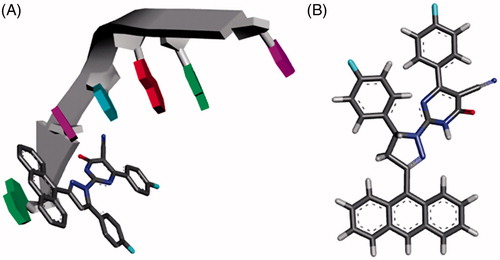 Figure 10. (A) The modeled structure of compound 4e predicting that compound 4e will form a covalent crosslink to DNA using the anthracene ring while the rest of the compound is in the minor groove like the crystal structure of DOX (pdb:1D12); (B) 3 D structure of compound 4e.