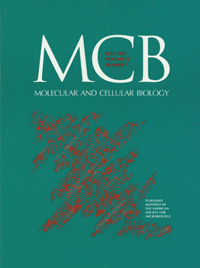 Cover image for Molecular and Cellular Biology, Volume 13, Issue 7, 1993