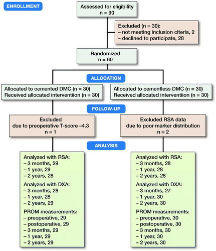 Figure 1. CONSORT flow diagram showing the inclusion/exclusion process until 2-year follow-up.