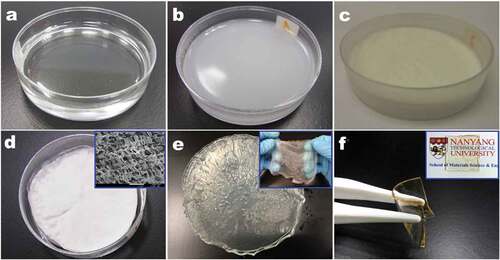 Figure 1. Preparation process of cross-linked H2SO4-PVA gel electrolyte: (a) PVA solution cast on a petri dish, (b) cross-linked by glutaraldehyde, (c, d) freeze-dried, (e) soaked in H2SO4 solution and (f) formation of a freestanding gel after air drying