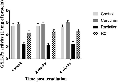 Figure 4 Effects of irradiation pre- and post-treatment with curcumin on GSH-Px activity (U/mg of protein) at 1, 2, and 4 weeks post-irradiation.