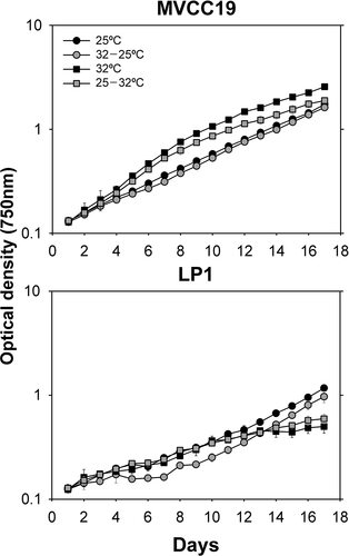 Fig. 1. Growth curves of experiment 1 (with phosphorus sufficiency). Temperature shifts were performed at time zero. The curves were obtained with the mean values (n = 3, ± standard deviation; error bars are smaller than the size of the symbols if not visible) of optical density for each strain and temperature shift.