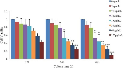 Figure 6 Effects of nanoparticulate TiO2 on viability of primary cultured rat Leydig cells.Notes: The data show reduction of Leydig-cell viability in a time-dependent manner at the same nanoparticulate TiO2 concentration. Values represent mean ± SD (n=3). *P<0.05; **P<0.01; ***P<0.001.