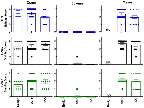 Figure 4. Human breast tissue (benign, DCIS and IDC) – IL-3/IL-3R IHC scores – ducts, stroma, tumor tissue.Staining intensity scored for IL-3 (blue), IL-3Rα (black) or IL-3Rβ (green) with results shown for ducts, stroma and tumor in benign breast tissue (n = 8, closed circles), DCIS (n = 18, closed squares) and IDC (n = 17, closed triangles). Results shown as individual sample scores with mean ± sem. Statistical analysis using one way ANOVA with multiple comparisons with p < 0.05 considered significant. N/A = not applicable.