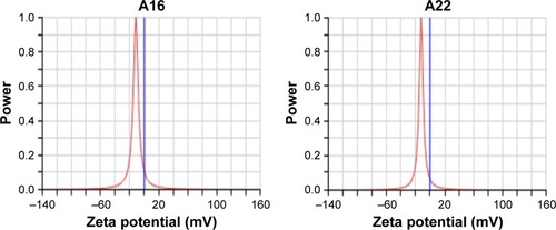 Figure 5 Zeta potential of A16 and A22.