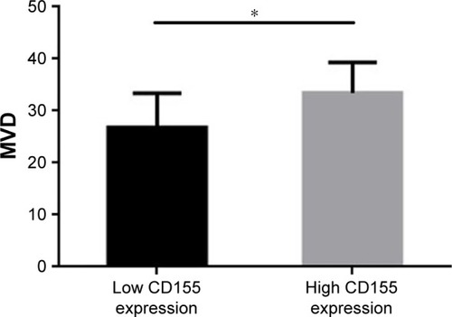 Figure 4 The association between MVD and CD155 intensity by immunohis-tochemistry.