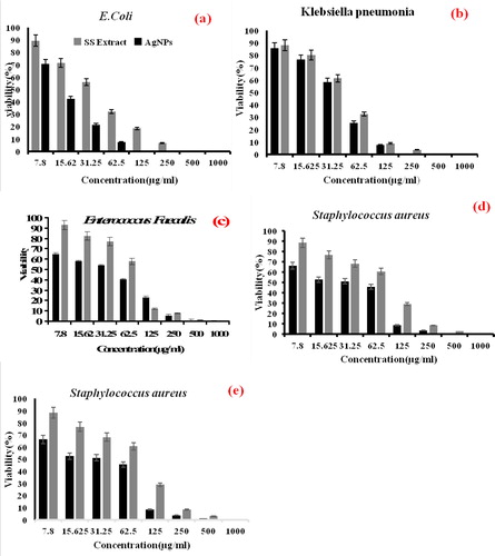 Figure 9. Antibacterial and Antifungal performance of an aqueous extract of Summer Savory and green synthesized AgNPs derived from Summer Savory against (a) E.Coli, (b) Klebsiella pneumonia, (c) Enterococcus faecalis, (d) Staphylococcus aureus and (e) Saccharomyces cerevisiae, at diverse concentrations. Data are statistically meaningful at the p < 0.05 level.