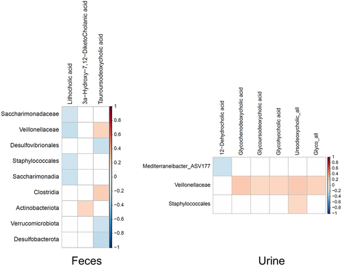 Figure 4. Correlations between bile acids and taxa. Pearson correlations between the identified significant taxa (ANCOMBC-adjusted abundances) and bile acids intensities in feces (right) and urine (left). P-values were adjusted using Benjamini-Hochberg, with a 10% false discovery rate threshold (Padj<0.1). Only significant correlations with an absolute coefficient value equal or bigger than 0.2 are shown. n = 380 (169 NR; 196 R; 15 R_BP). NR: non-responder; R: responder; R_BP: responder with bad prognosis.