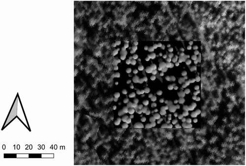 Figure 7. Monte Carlo simulated forest of Plot 1 (‘realistic’ scenario). The simulated forest can be seen at the centre of the image with spatial dimensions of 70 m × 70 m. Measured reflectance data by the hyperspectral AISA imager was used as visualisation on the background. The used wavelength for the spectral data was 835 nm. Note that we used birch leaf spectrum for all modelled trees, whilst most of the real trees in the AISA image are conifers with lower 835 nm reflectance. We also traced 2×109 photons to ensure low Monte Carlo noise in the images.