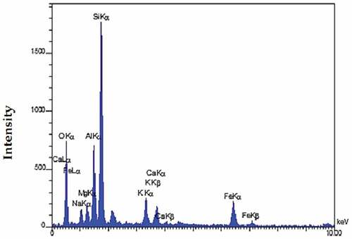 Figure 11. EDX of20%MDFWA-replacement sample at 28 days.