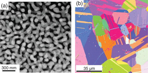 Figure 1. Microstructure of NPG on different length scales. (a) Transmission electron microscopy shows the pore- and ligament structure, here for mean ligament size 50 nm (from [Citation11]). (b) Electron backscatter diffraction (EBSD) map reveals ordered crystallites with grain size m, much larger than the ligament size (from [Citation7]). Images are obtained from separate samples prepared under identical conditions.